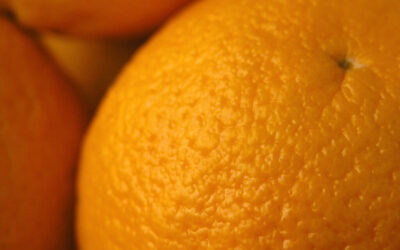 Notre petit guide pour mieux comprendre la cellulite :